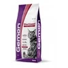 GEMON - Dry Cat jautiena ir ryžiai 7kg
