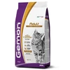 GEMON - Dry Cat Adult Complete su vištiena ir kalakutiena 2kg