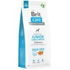Brit Care GF Junior LB lašiša NAUJIENA 3kg