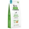 Brit Care GF Adult LB su lašiša ir bulvėmis 3kg