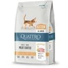QUATTRO Kitten sausas kačiukų pašaras su daug paukštienos 1,5kg