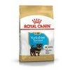 Royal Canin Yorkshire Terrier Junior 500g