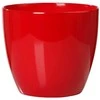 Scheurich Dekoratyvinis gėlių vazonas Energy Raudona D14cm raudonas