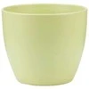 Scheurich Dekoratyvinis gėlių vazonas Light Žalias 13cm