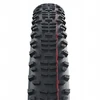 Schwalbe Racing Ralph 26x2.25 Sulankstoma dviračio padanga