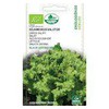 Sėjamųjų salotų sėklos Juodas Seeded Simpson, 1 g