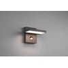 Sieninis LED lauko šviestuvas TRIO HORTON, 8 W