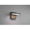 Sieninis LED lauko šviestuvas TRIO HORTON, 8 W