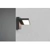 Sieninis LED lauko šviestuvas TRIO HORTON, 8 W
