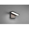 Sieninis LED lauko šviestuvas TRIO HORTON, 8 W