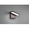 Sieninis LED lauko šviestuvas TRIO HORTON, 8 W