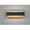 Sieninis šviestuvas Sieninis LED šviestuvas TRIO ARINO, 1 x 13,5 W