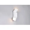 Sieninis šviestuvas Sieninis LED šviestuvas TRIO RAGLAN, 2 x 3 W, 3000 K, 2x300 lm, baltos sp, 22 x 5 x 5,5 cm