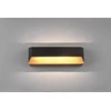 Sieninis šviestuvas Sieninis LED šviestuvas TRIO ARINO, 1 x 13,5 W