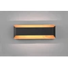 Sieninis šviestuvas Sieninis LED šviestuvas TRIO ARINO, 1 x 13,5 W