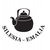 Silesia Emalia Tradicinis emaliuotas puodas MARYNA 5l celadon GAS INDUCTION SILESIA