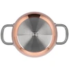 SILVERCREST Variu dengtas puodas su dangteliu, Ø 20 cm