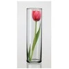 Simax vaza 27,5cm "Cilindras"