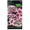 Šiurpinių gvazdikų sėklos Delux Garden 10vnt. Whitefire