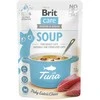 BRIT CARE Cat Superfruits Chicken skanėstai 100g