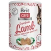 BRIT CARE Cat Superfruits Chicken skanėstai 100g
