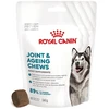 Skanėstas šunims ROYAL CANIN Joint &amp; Ageing, 240 g