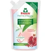 Skystas muilas Frosch SU ALIJOŠIUMI, 500 ml