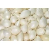 Sodinimo laiškiniai svogūnai BALTASIS ALIBABA (5-21 mm) 250 g pavasaris