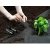 Sodo agrotekstilė 1,6 m x 100 m + 100 Plonos kaiščių