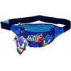 Sonic the Hedgehog Jacob vaikiška liemeninė rankinė, įvairiaspalvė