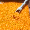 SPALVINGI JAUTINIAI RYŽIAI (ORANŽINĖS) NAUDOJANT FIFNA MAMA 1 KG