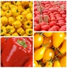 Specializuotas dirvožemio substratas pipirams, pomidorams, 80 l