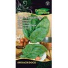 Špinatinių rūgštynių sėklos SPINACH DOCK, 0,3 g