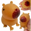 Squishysquishies Kapibara Gniotukas - Minkštas Antistresinis Žaislas