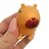 Squishysquishies Kapibara Gniotukas - Minkštas Antistresinis Žaislas