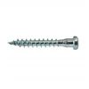 Sraigtai kampams, pusapvale galvute 5,0 x 40, 250 vnt, + BIT TORX20