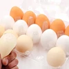 ST SQUISHY GNIOTEK EGG ANTISRESSAS KIAUŠINIS POEKTAS BALANDŽIO KOPELIO ŽAISLAS