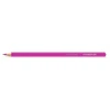 Staedtler "design Journey" spalvoti pieštukai, 12 vnt.