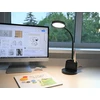 Stalinis LED šviestuvas EGLO LAURO, 1x5,5W, 550lm, 4000K juodos sp., 13x18x29