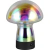 Stalinis LED šviestuvas REALITY DOOLEY 1,5W 3000K 100lm įkraunamas įvairių sp Ø14x18cm