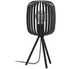 Stalinis šviestuvas EGLO ROMAZZINA, 1 x E27, max 40 W, juodos sp., Ø 20cm, h43,5cm