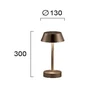 Bikuva.lt 4W LED stalinis šviestuvas PRINCESS, violetinės sp., 3100K, dimeriuojamas, su baterija, 4243702