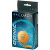 Stalo teniso kamuoliukai DONIC P40+ Coach 2žv. 6vnt Oranžinis