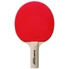 Dunlop Stalo teniso raketė BT20 pradedantiesiems