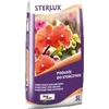 Sterlux Hollas dirvožemio orchidėjų substratas 5l