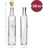 Stiklinis buteliai su kamščiu Browin 500ml