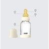 Stiklinis buteliukas nuo pilvo dieglių 120 ml Ivory BIBS Boheme skaistalai
