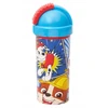 Stor Disney 300 ml bidonas su šiaudeliu vaikams