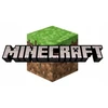 Gertuvė Stor Minecraft vandens buteliukas iš aliuminio, 400 ml
