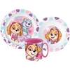 Stor PAW PATROL SKYE mikrobangų krosnelės pusryčių rinkinys MUGUS 350ml